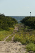 camino pampeano