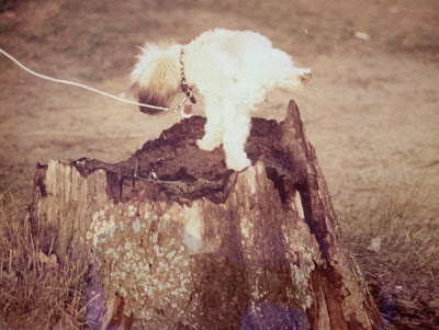 секс услуги крым секс услуги на дому