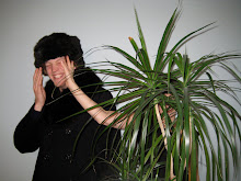 Min bilder