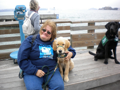 Mary sitting on a platform next to Preston, a 4 month old golden