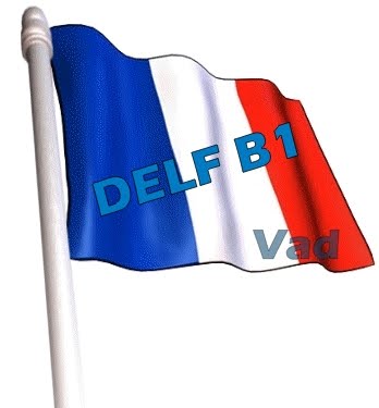[DELF++B++1.JPG]