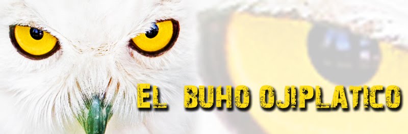 El buho ojiplatico