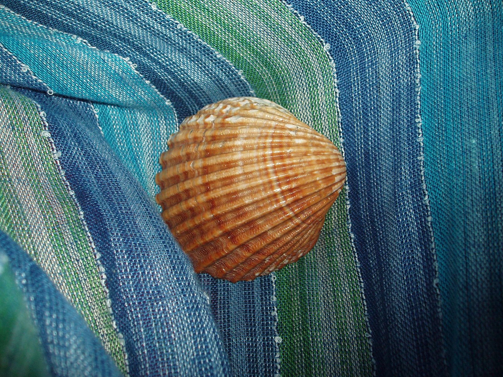 [P3054013.JPG]
