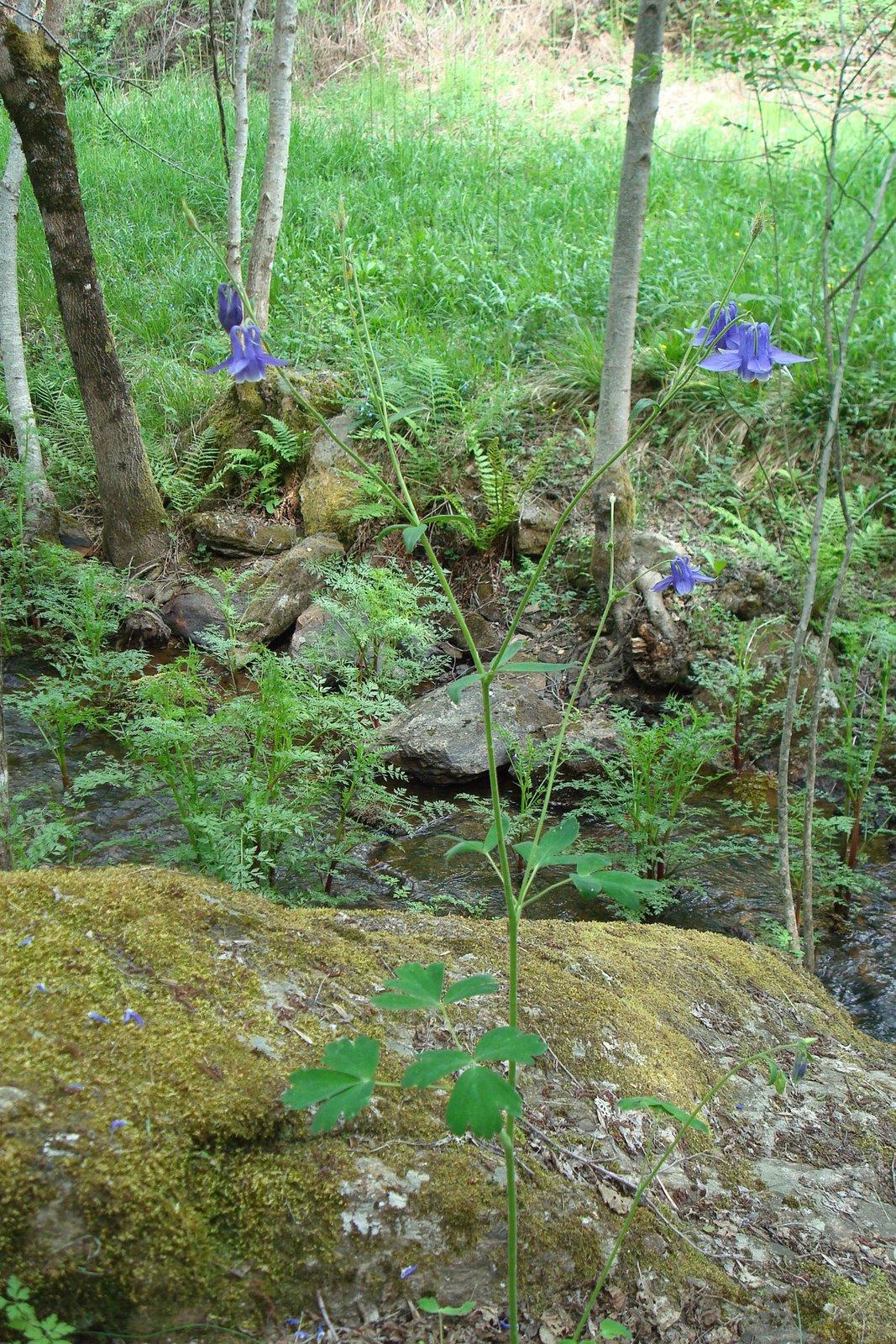 [DSC07808.JPG]