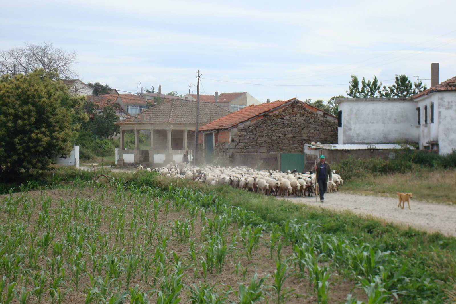 [DSC08411.JPG]