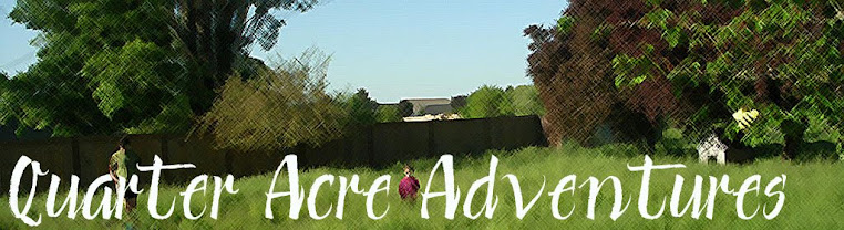 Quarter Acre Adventures