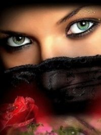 [n518806447_469.jpg]