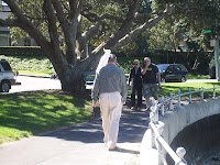 Impressionen aus Devonport 2