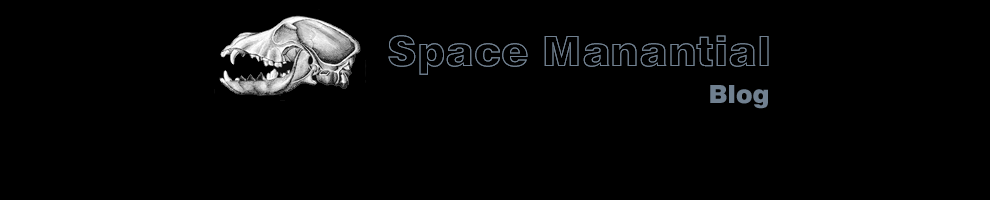 Space Manantial