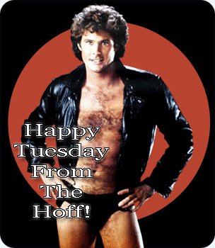 [tuesday+from+the+hoff.jpg]