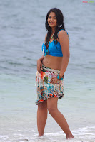 Telugu, Actress, BINDU, MADHAVI, beach, photos