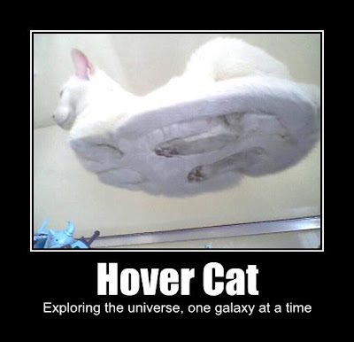hover-cat-exploring-the-universe-one-galaxy-at-a-time.jpg