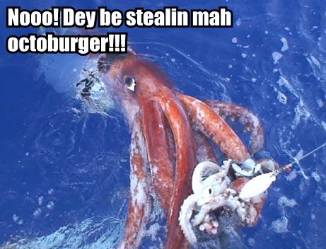 [nooo-dey-be-stealin-mah-octoburger.jpg]