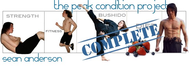 The Peak Condition Project - Sean Anderson