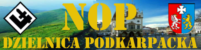 Narodowe Odrodzenie Polski Dzielnica Podkarpacka