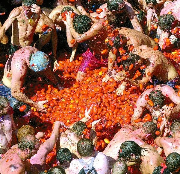 [tomatina.jpg]