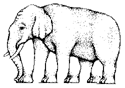 optical illusion