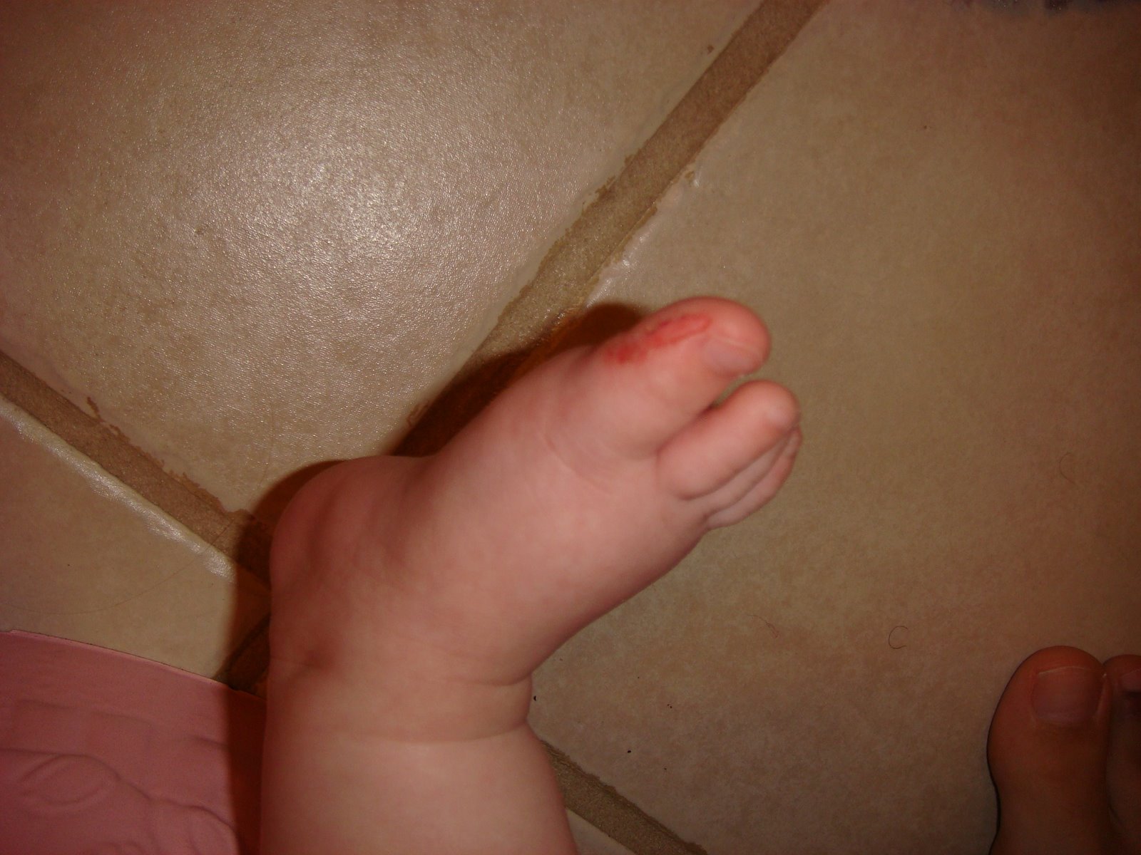 [DSC01479.JPG]