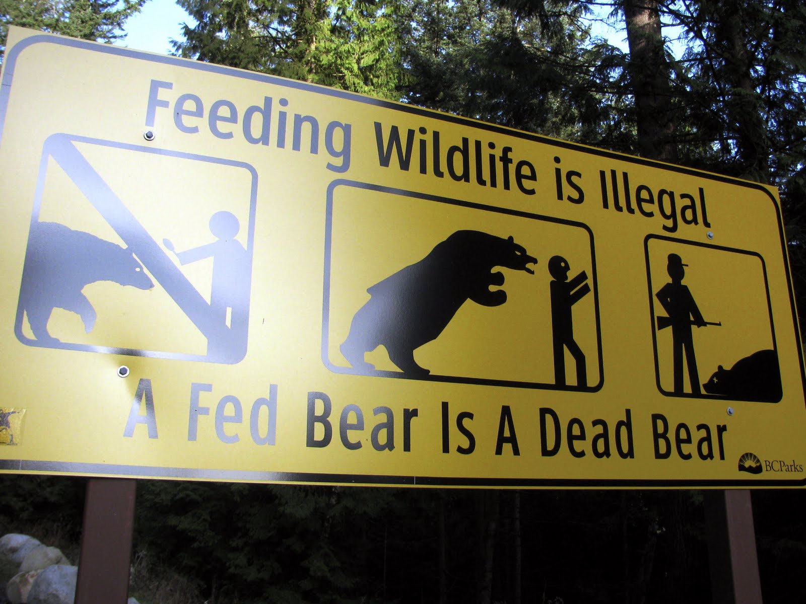 10 Things Not To Do In Jasper Alberta Seattle S Travels