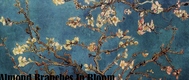 Almond Branches In Bloom