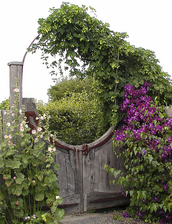 garden gate designs on Alamodeus  Through The Garden Gates