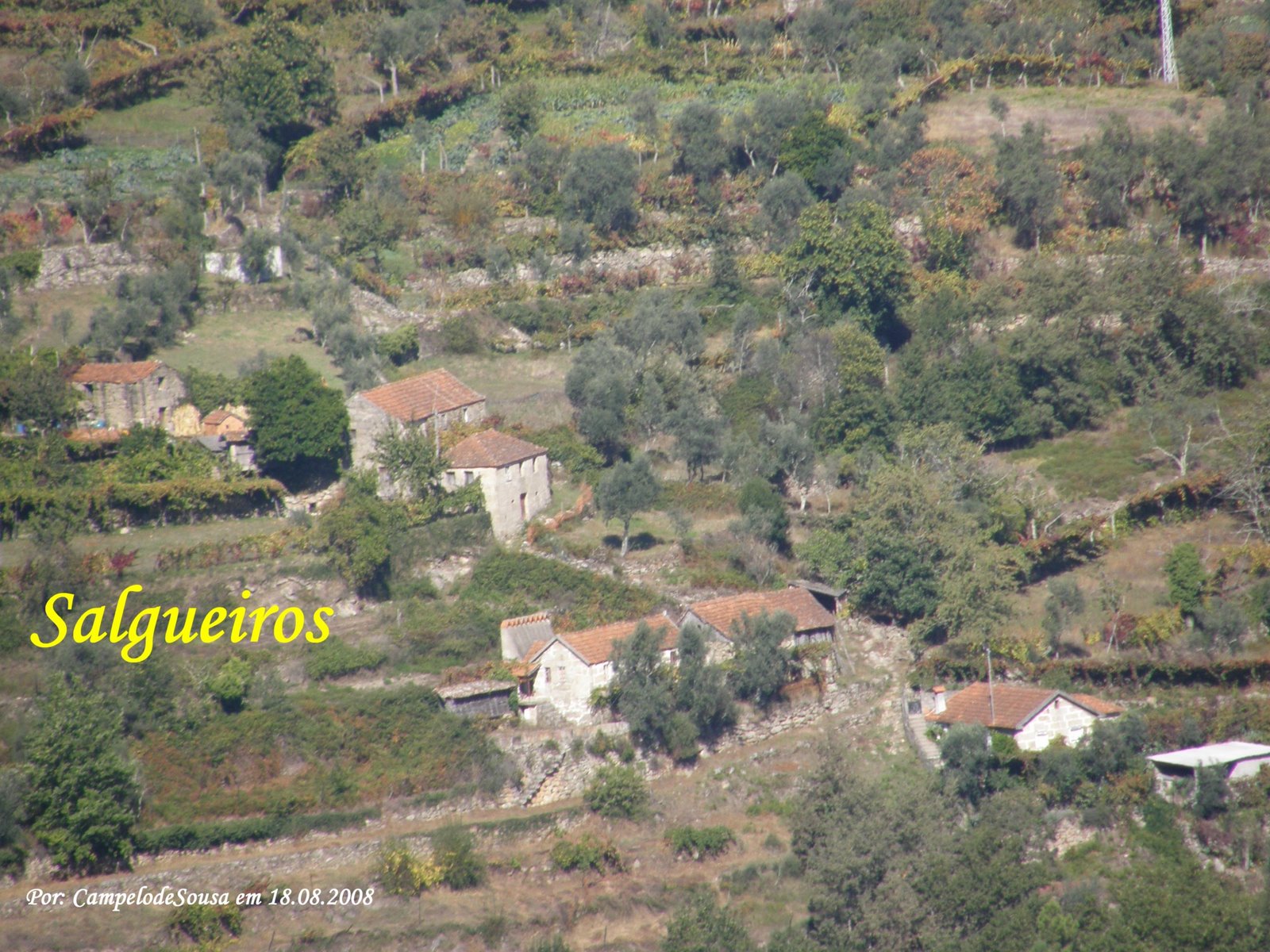 [Salgueiros.JPG]
