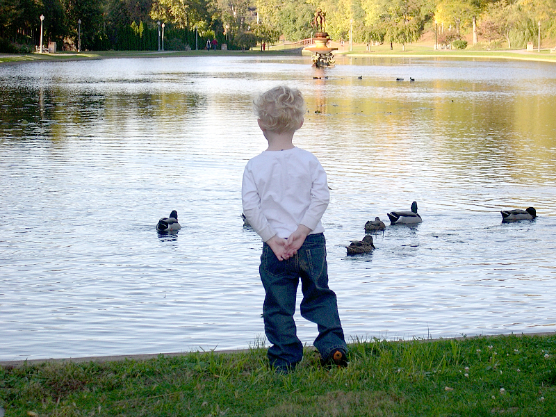 [Asher+ducks.jpg]