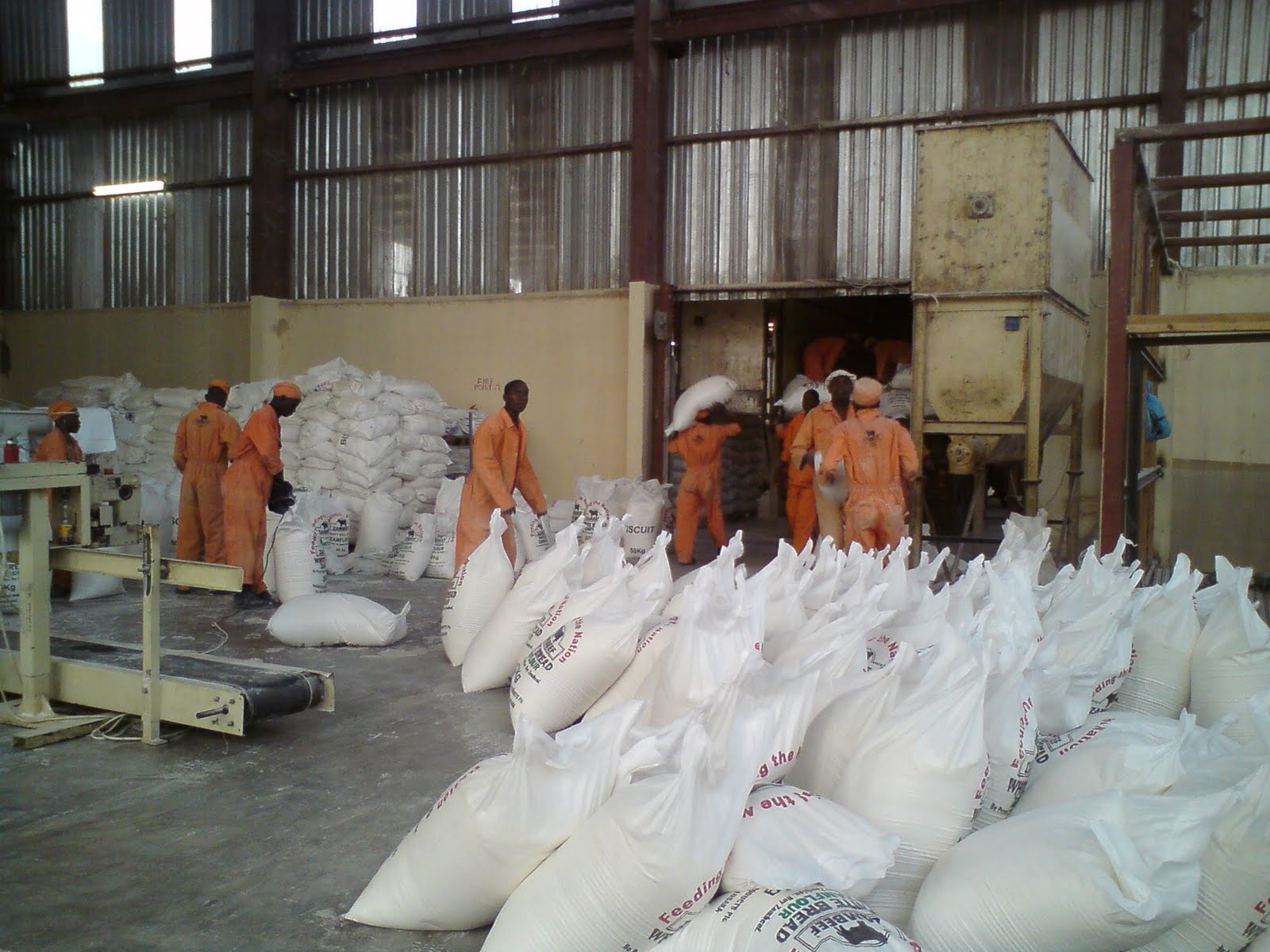 Aileen in Zambia Wheat harvesting in Zambia