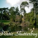 Music in Nature Contest Winners