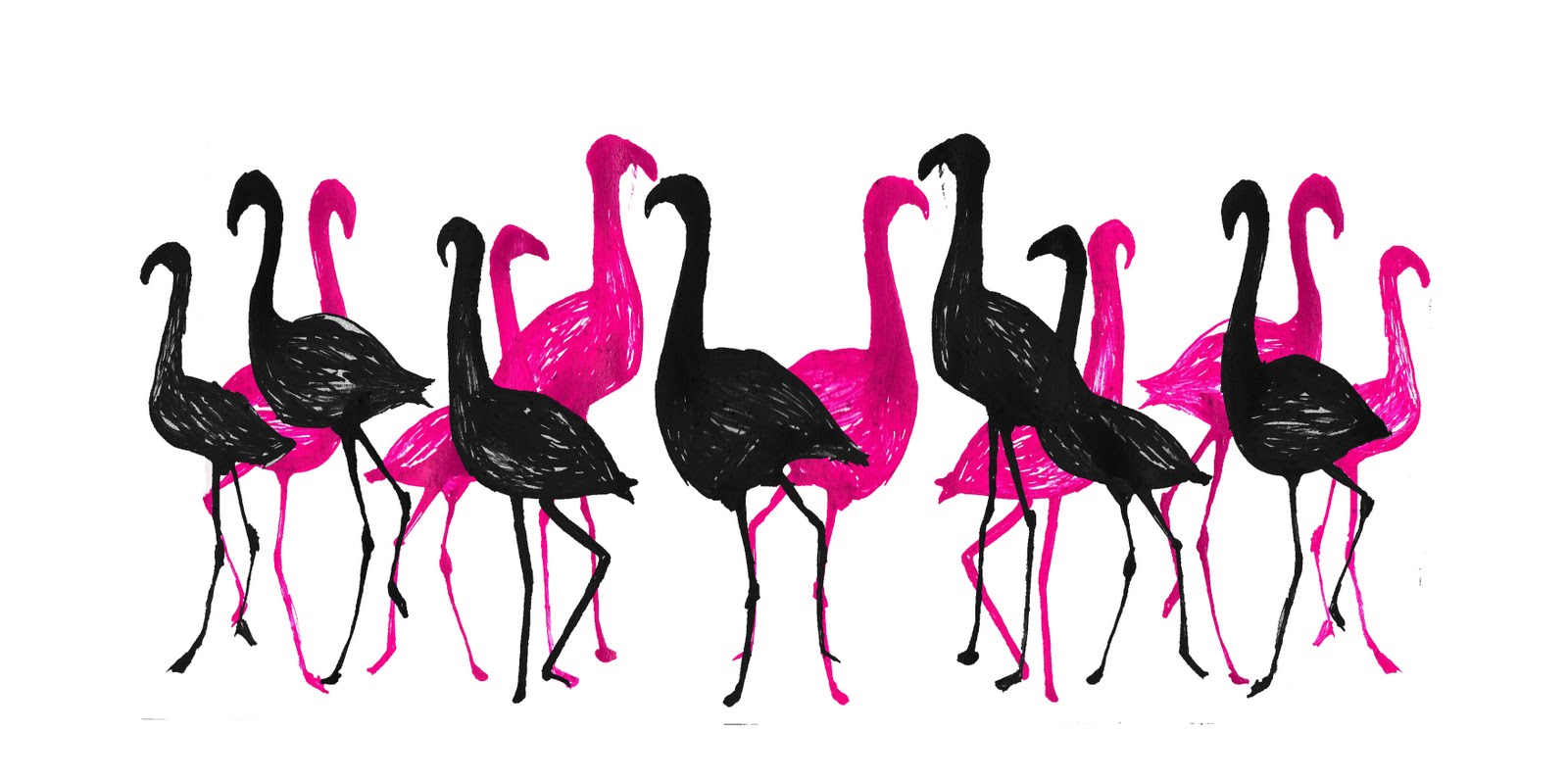 [flamingoss.jpg]