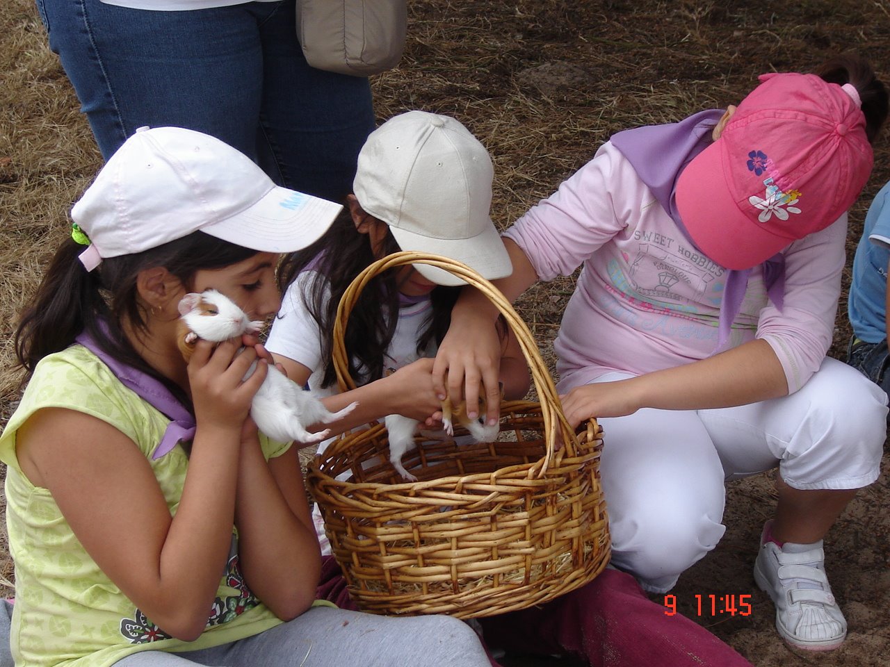 [DSC06898.JPG]