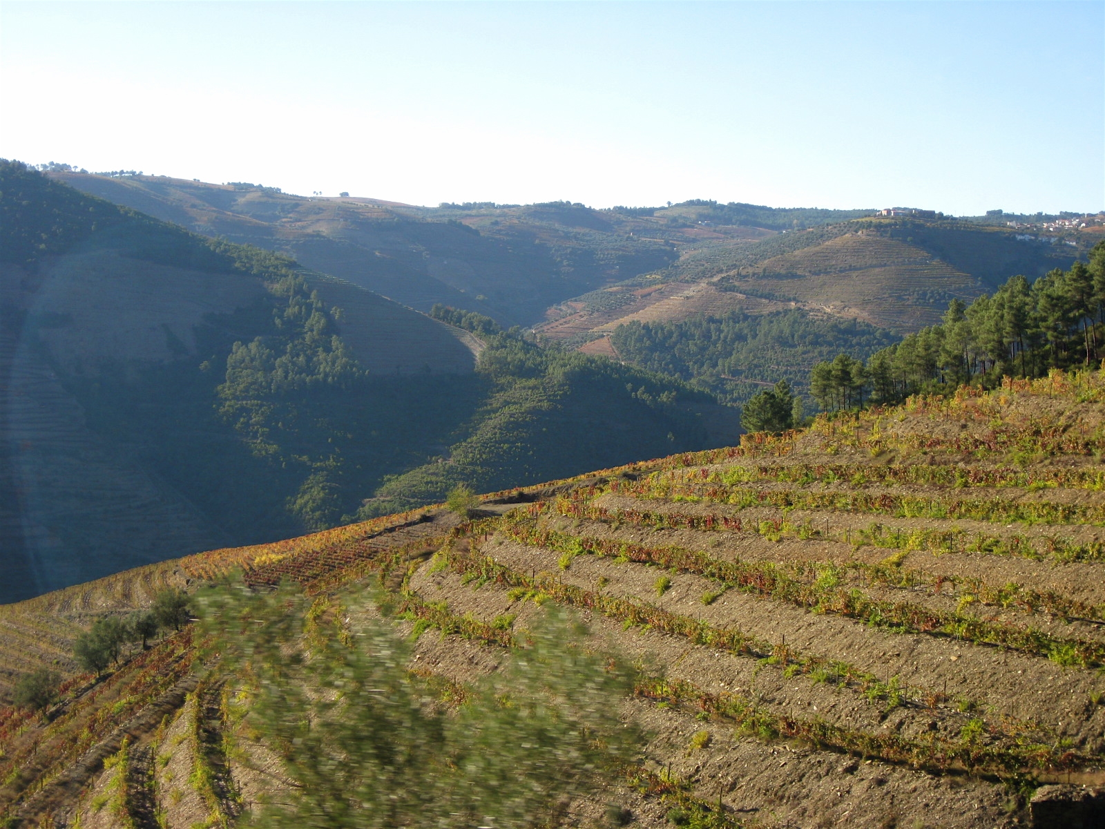 [douro2.JPG]
