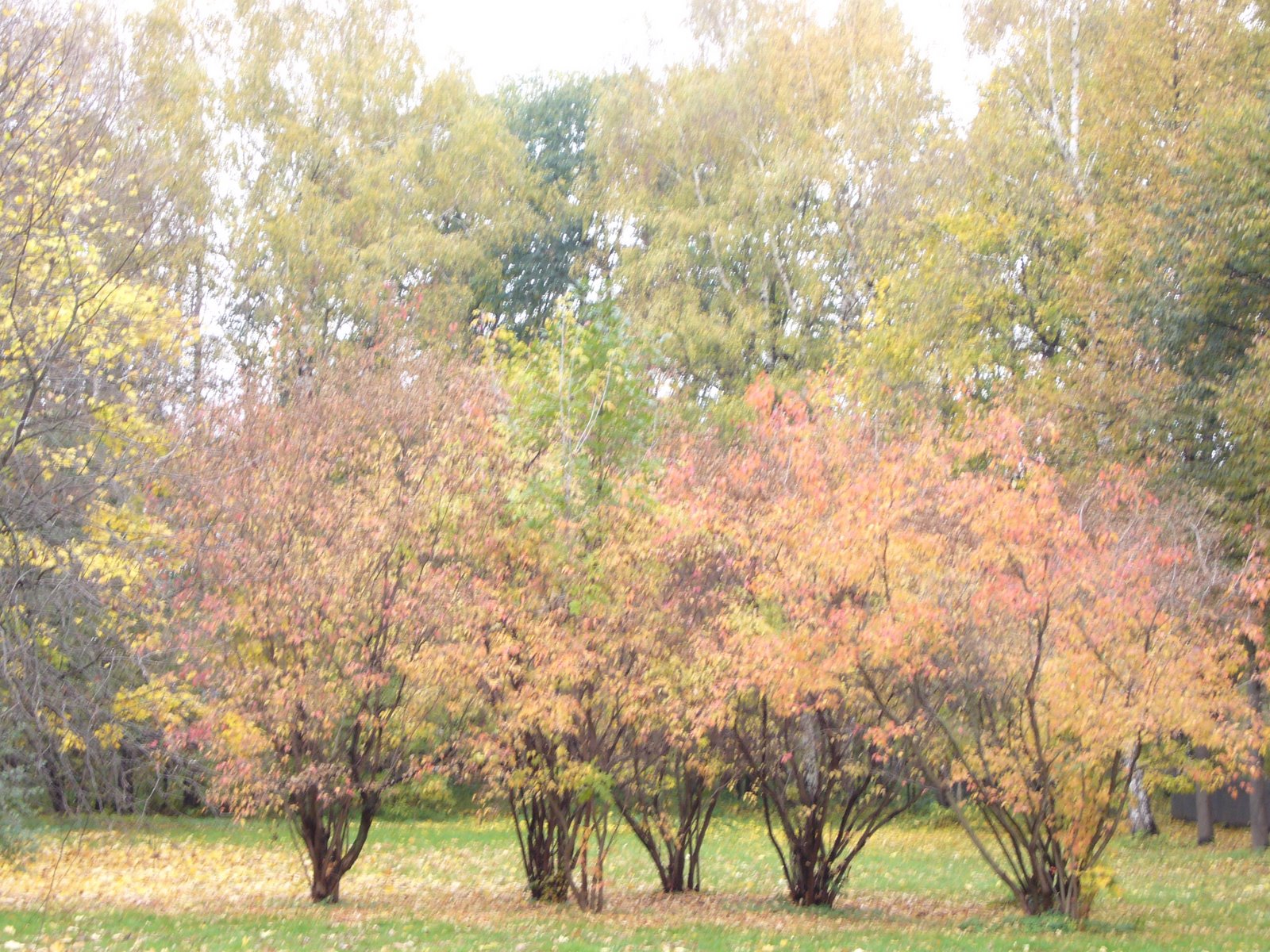 [L1000501.JPG]