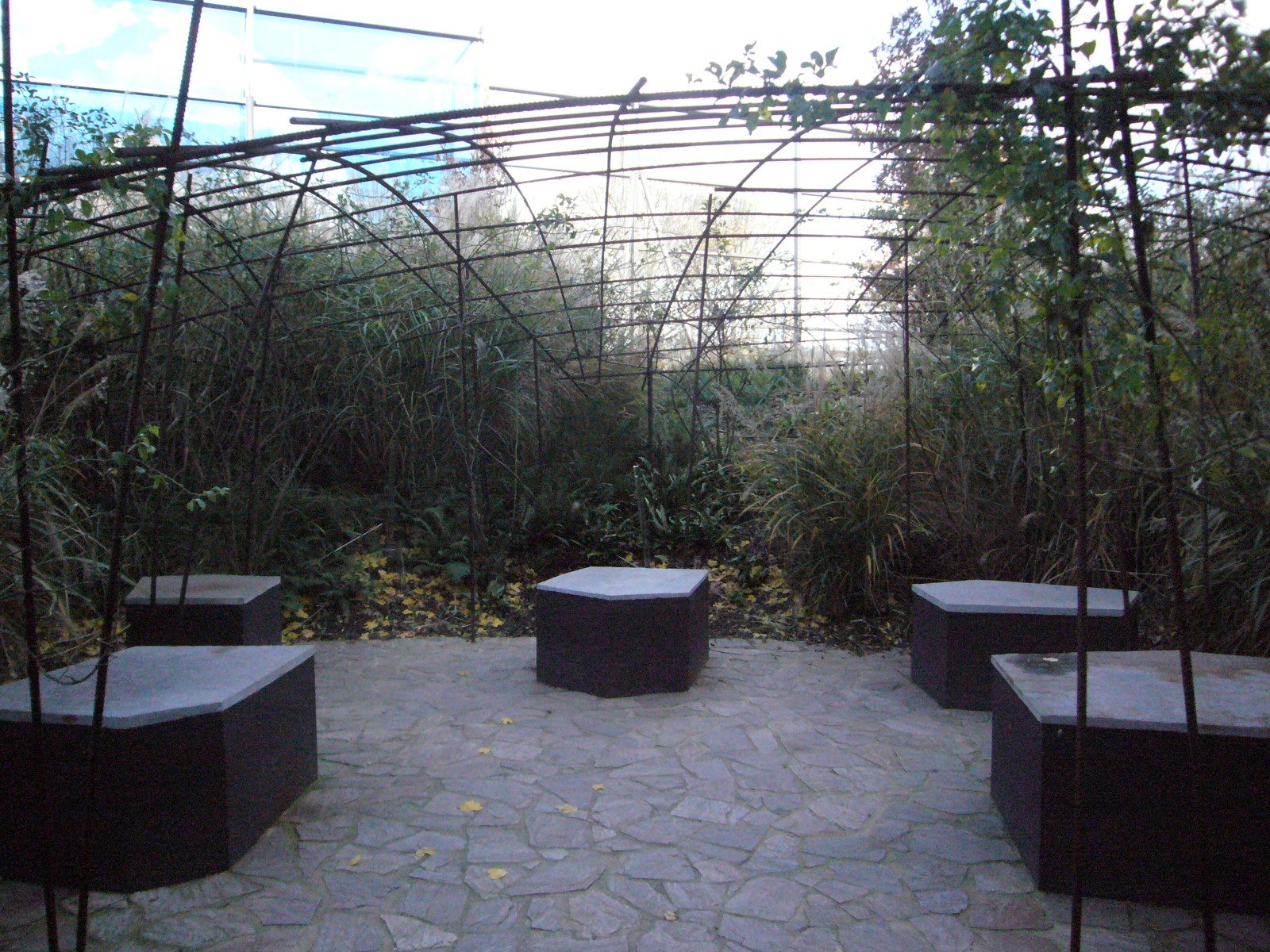 [L1060168.JPG]
