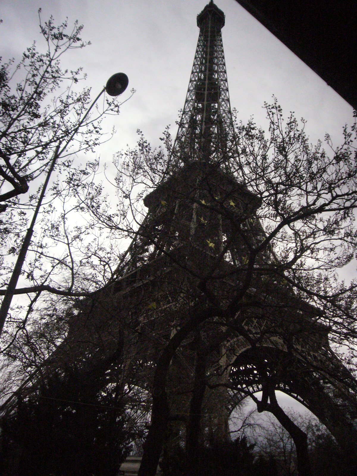 [L1060114.JPG]