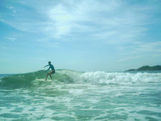 FREE SURF