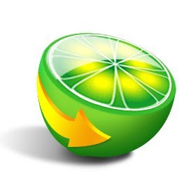  LimeWire Pro v5.2.13    