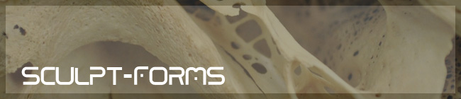 Sculpt_Forms