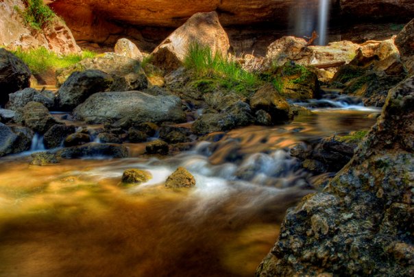 Ecoturismo En Tu Piel