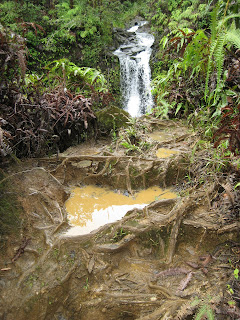 Upper Pua'a Ka'a Falls and mud