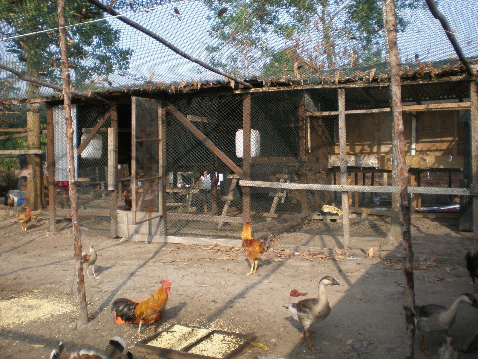 [P2170084.JPG]