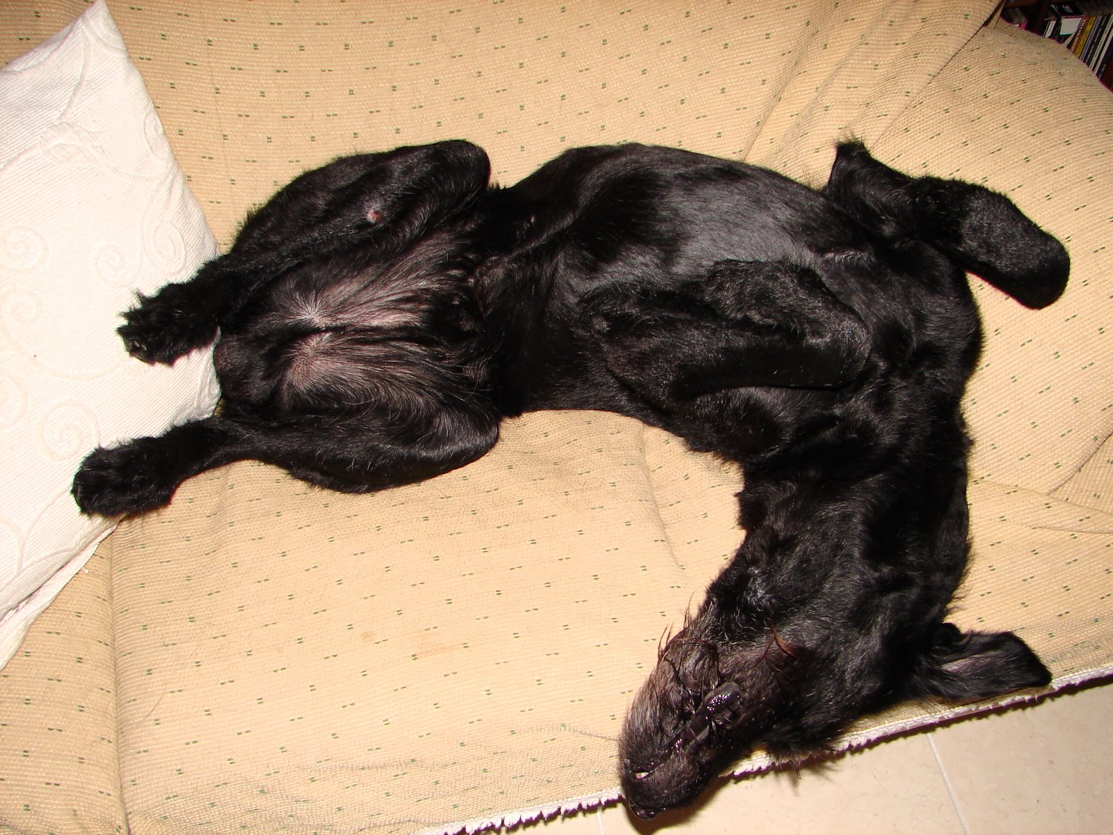[DSC06561.JPG]