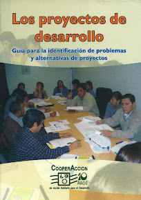 Los proyectos de desarrollo