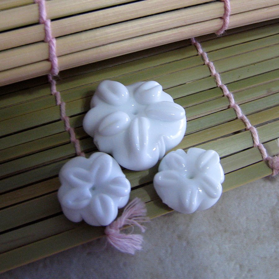 Silver Dollar Seashell