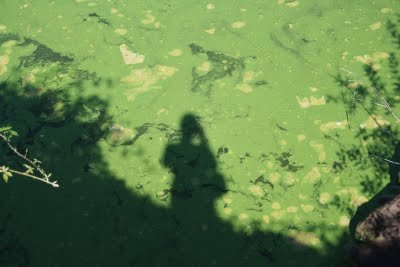[IMG_0798.JPG]