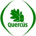 [quercus.jpg]