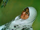 Foto saya