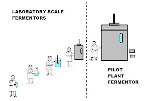 Fermentation Technology Teknologi Penapaian Importance Of Fermentation Pilot Plant