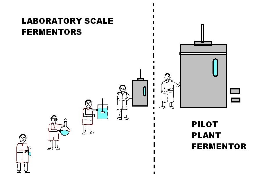 FERMENTATION TECHNOLOGY (teknologi penapaian) IMPORTANCE OF
