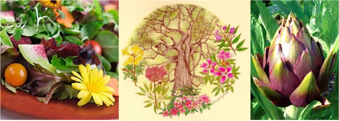 [FLORES+COMESTÍVEIS.png]